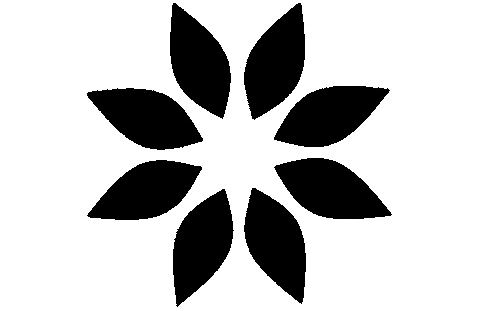 Palama Technologies logo